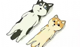 狗动漫头像,狗狗头像的奇幻世界