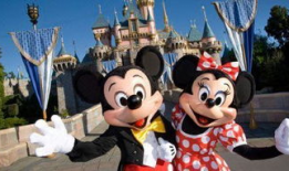 迪士尼爆料吃瓜事件真相,揭秘背后真相与内幕